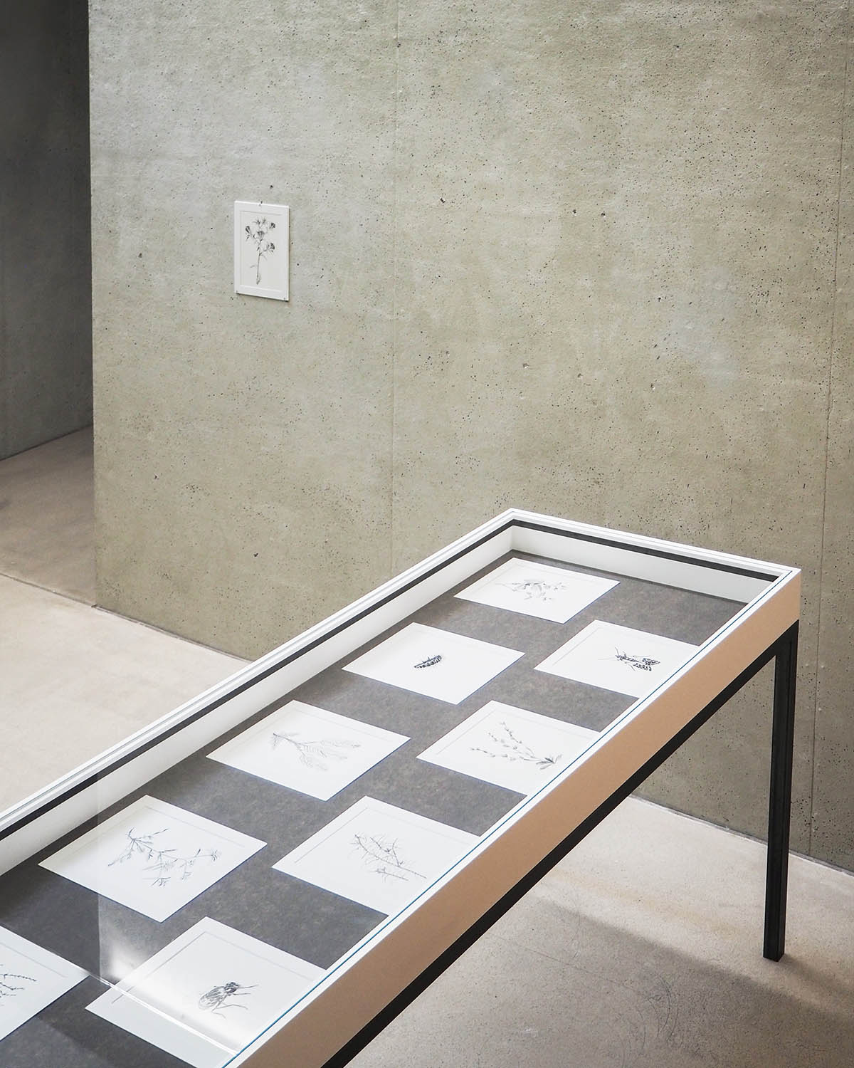 Exhibition View: Marwa Arsanios. Who is Afraid of Ideology?, 2026, TAXISPALAIS Kunsthalle Tirol Photo: Günter Kresser