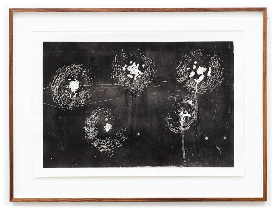 Seeigel, 2015, 60,9 x  81 cm