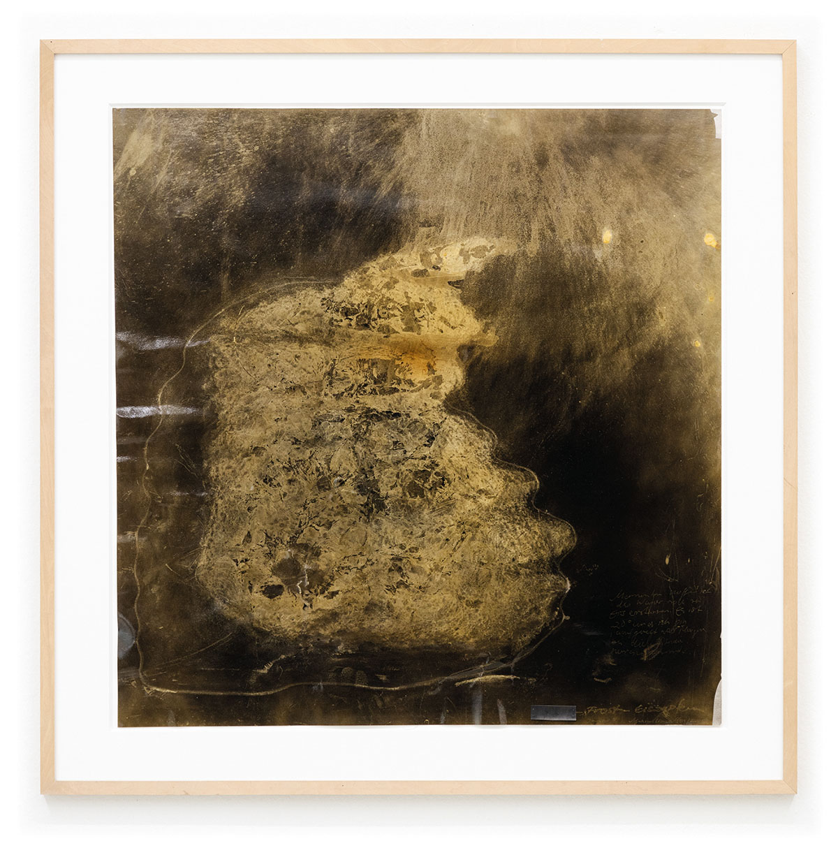 Schnee von Ast, 2010, Snow, tree branch, 87 x 82. Courtesy of the artist