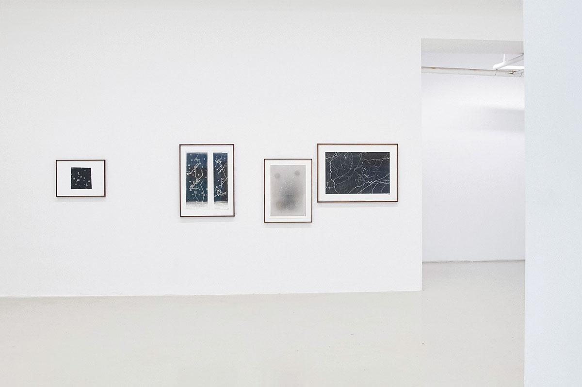 Exhibition view: Maximilian Prüfer: NEBENLINIEN- 15 Jahre Naturantypie, Galerie Kandlhofer
