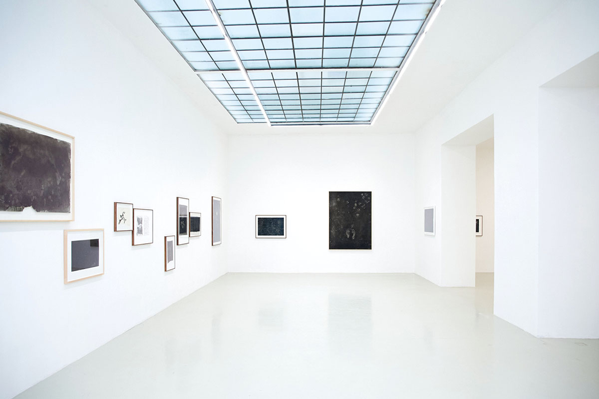 Exhibition view: Maximilian Prüfer: NEBENLINIEN- 15 Jahre Naturantypie, Galerie Kandlhofer
