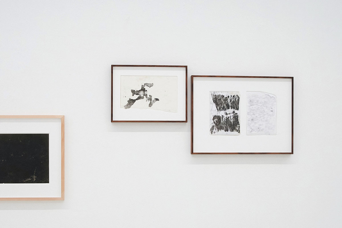 Exhibition view: Maximilian Prüfer: NEBENLINIEN- 15 Jahre Naturantypie, Galerie Kandlhofer
