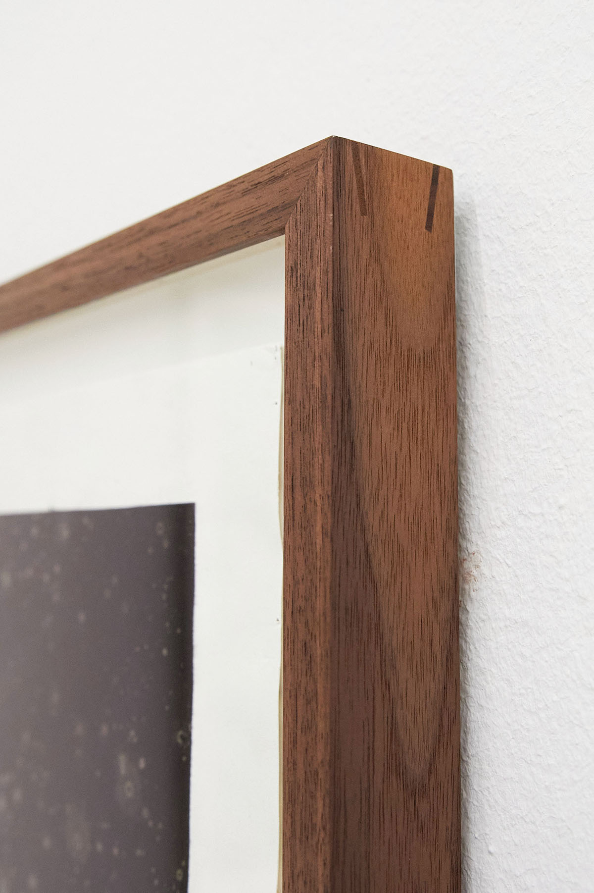 Exhibition view: Maximilian Prüfer: NEBENLINIEN- 15 Jahre Naturantypie, Galerie Kandlhofer