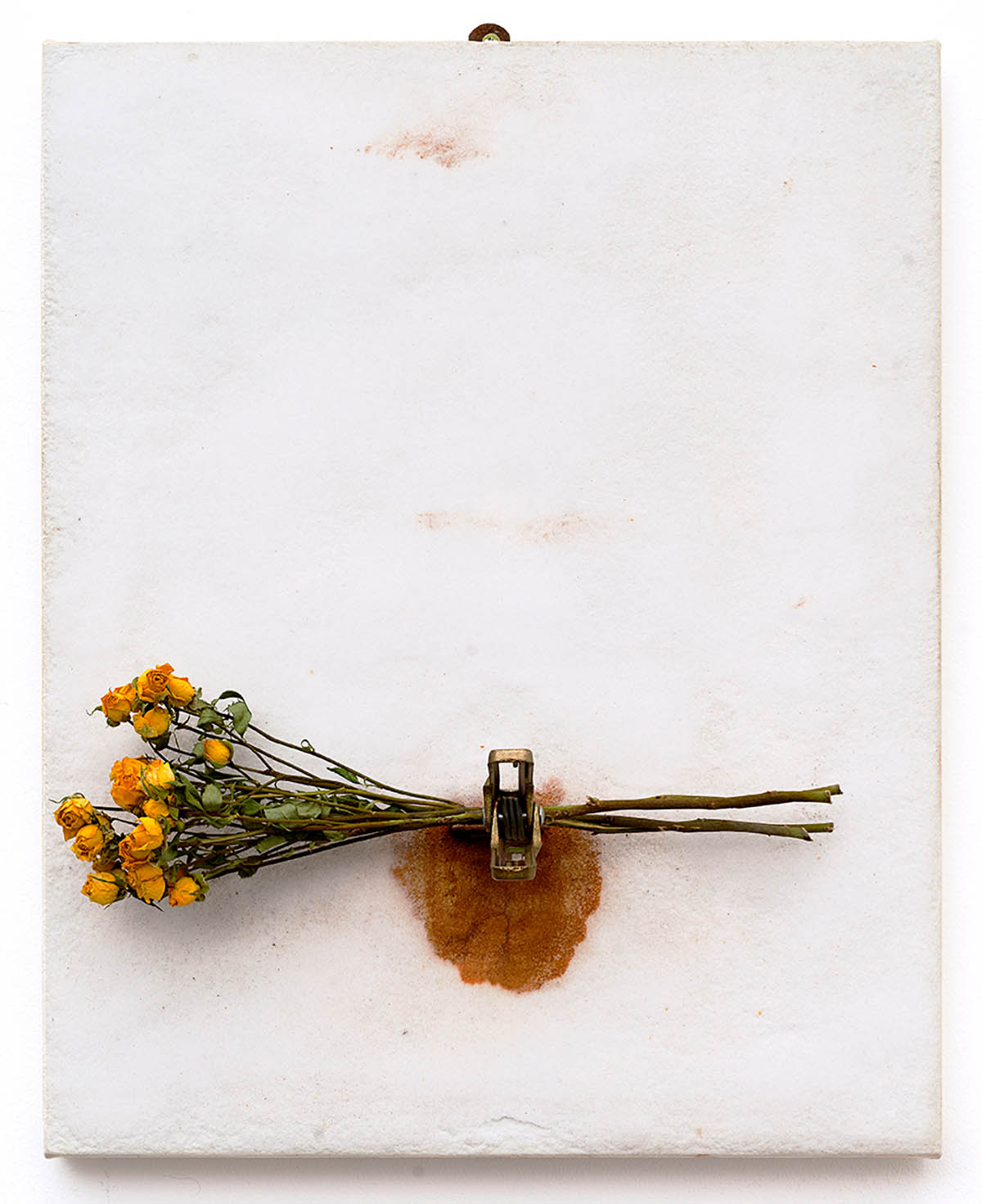 Pier Paolo CALZOLARI, Studio, 1986. Salt, iron, bouquet of roses on paper applied on wood, 51 x 41 x 11 cm. Photo by Daniele de Lonti, Courtesy of Repetto Gallery, London. Section: Established Masters