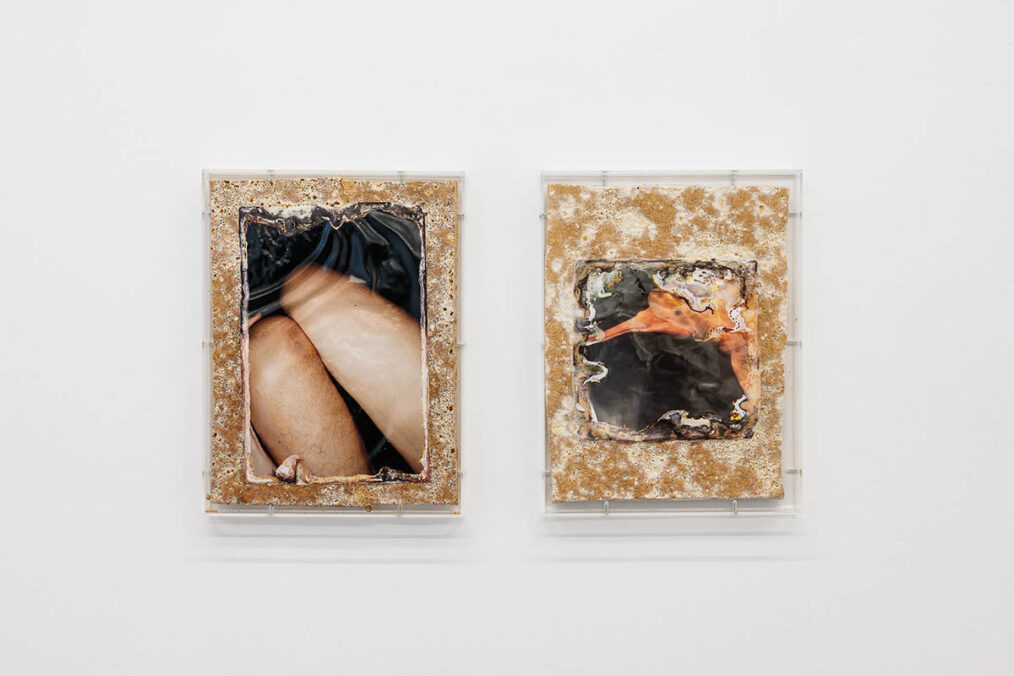 Angelika Loderer, Exposure (4) and (16), 2024, Plexiglass and C-print, wood, mushroom mycelium, 37 x 28 x 4 cm, Courtesy of the artist and SOPHIE TAPPEINER, Vienna
