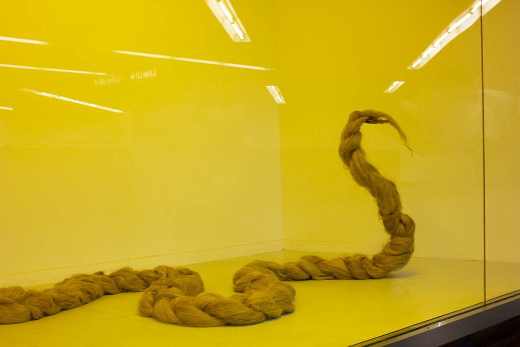 Karlsplatz Showroom Rec Carpet (between u1 and u4 Stations)