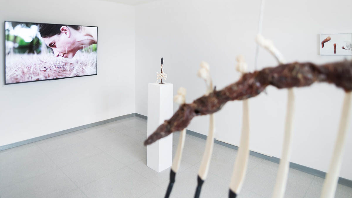 unsichtbar zeigt TORN BODIES. Unsichtbar – Die interdisziplinäre Initiative zur Sichtbarmachung sexualisierter Gewalt