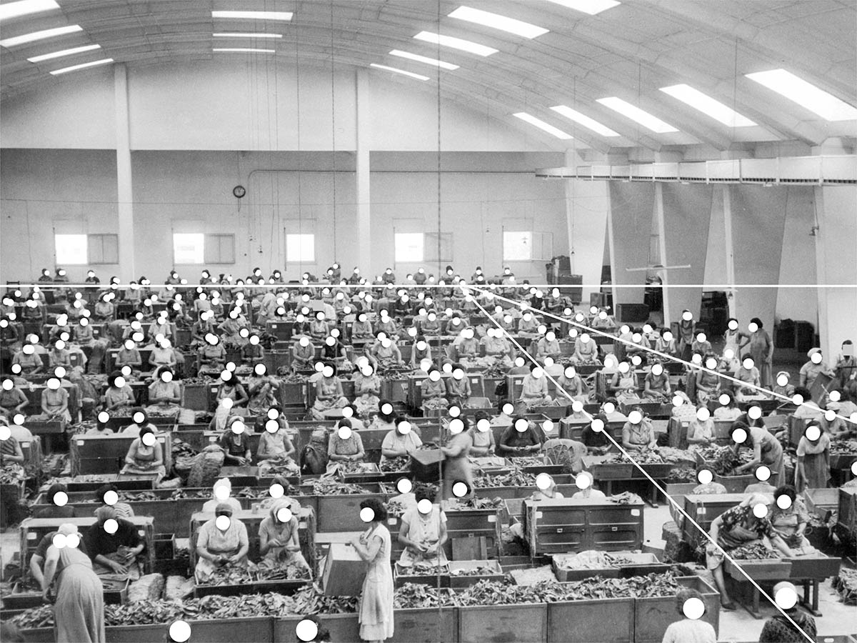 Ramona Schacht, Untitled (detail) “Now the sorting takes place on a large scale: ‘large-scale handling’ in Piraeus, the port city of Athens.” (Narration) Still from the commissioned film *The World of Tobacco*, 1954/55, Alfred Ehrhardt Foundation, Berlin, from the tableau *Predetermined Casting* within the series *Photography’s Claim to Property*. Images commissioned by Reemtsma 2026 © Ramona Schacht