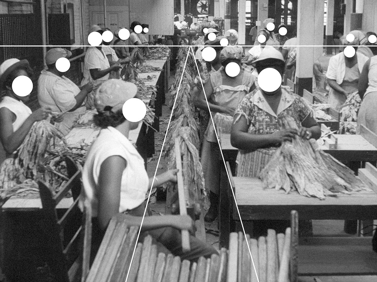 Ramona Schacht, Untitled (detail) “They are hung on wooden poles again and transported on the ‘hanging line’ to the redrying machine.” (Narration) Still from the commissioned film *The World of Tobacco*, 1954/55, Alfred Ehrhardt Foundation, Berlin, from the tableau *Predetermined Cast*, within the series *Photography’s Claim to Property*. Images commissioned by Reemtsma 2026 © Ramona Schacht