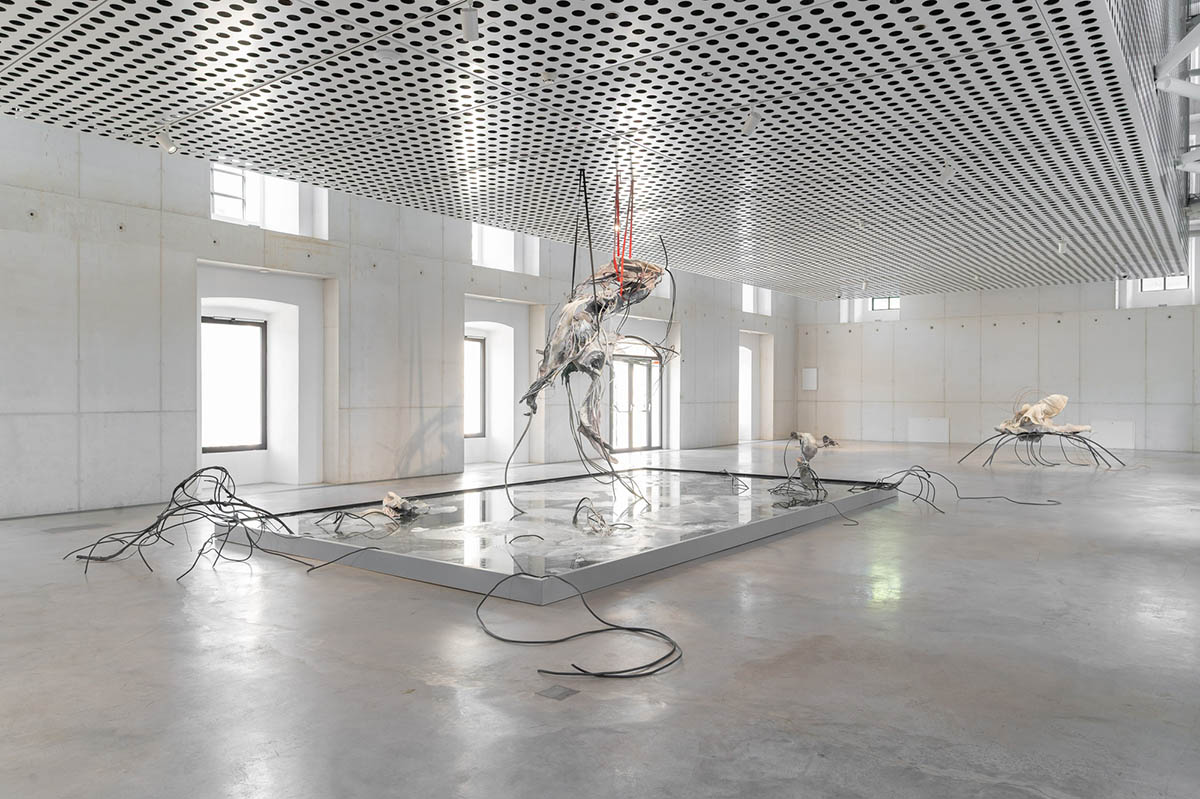 Photo © Blaž Gutman/MGML; Yein Lee: “Accomplice”, exhibition at Cukrarna Gallery (MGML, SLO), 2026
