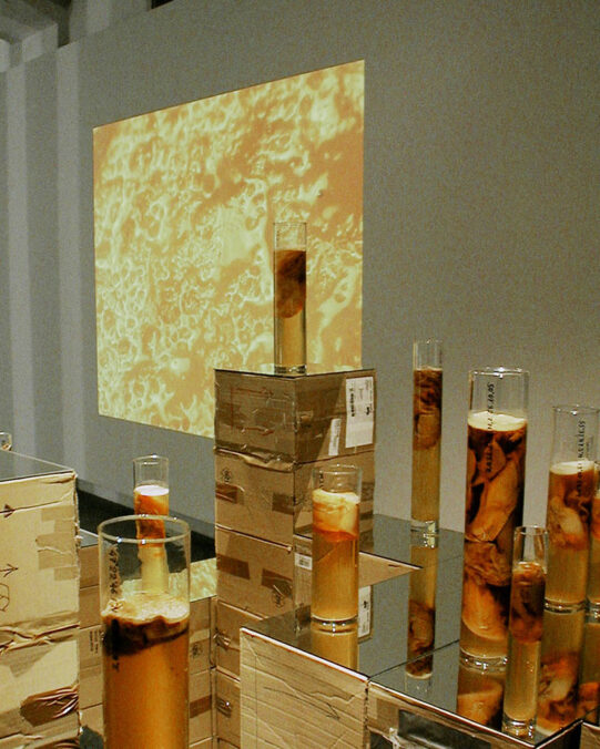 academy of fine arts vienna