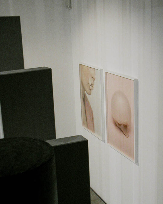academy of fine arts vienna