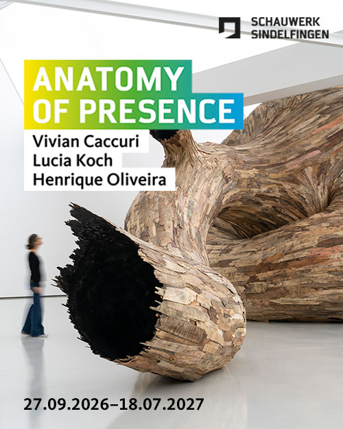 ANATOMY OF PRESENCE. Vivian Caccuri. Lucia Koch. Henrique Oliveira