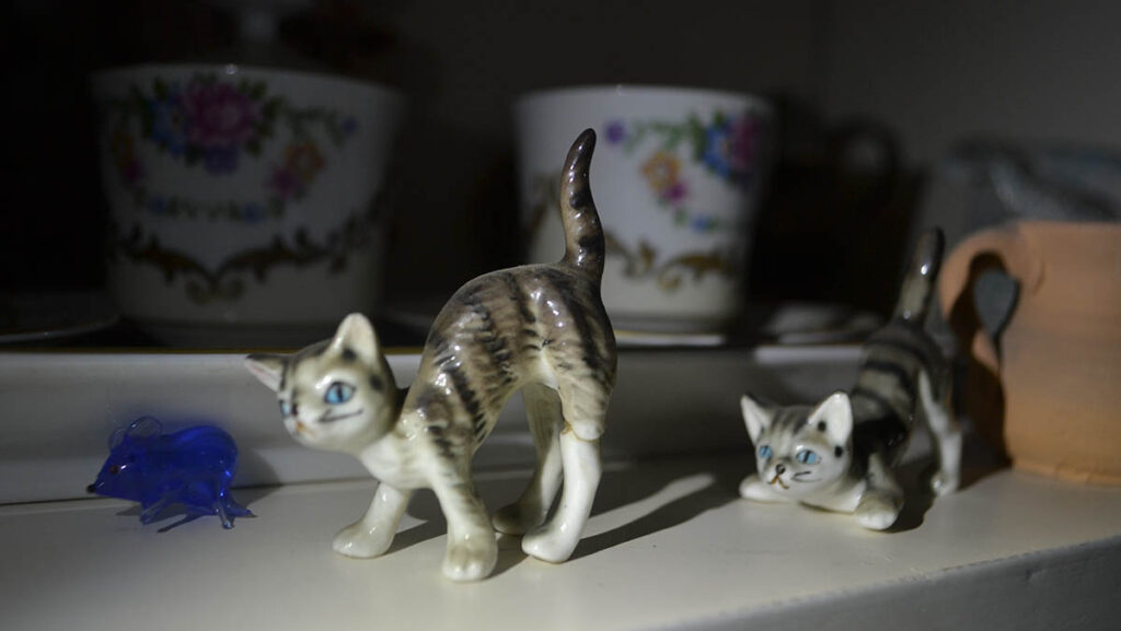 Senza Titolo (Nosferatu) 2023, c-print su d-bond, cm 40 x 60