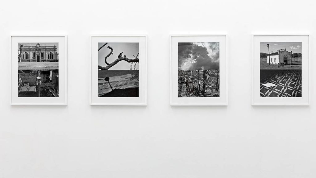 Sergio Vega, A cloud-forest of paper and ink, 2022, exhibition view at Umberto Di Marino Gallery, Napoli, photo by Danilo Donzelli