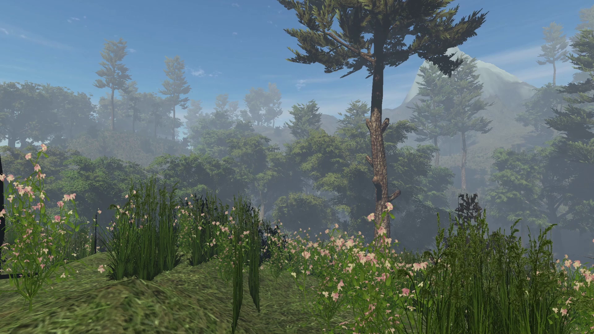 Forest3D