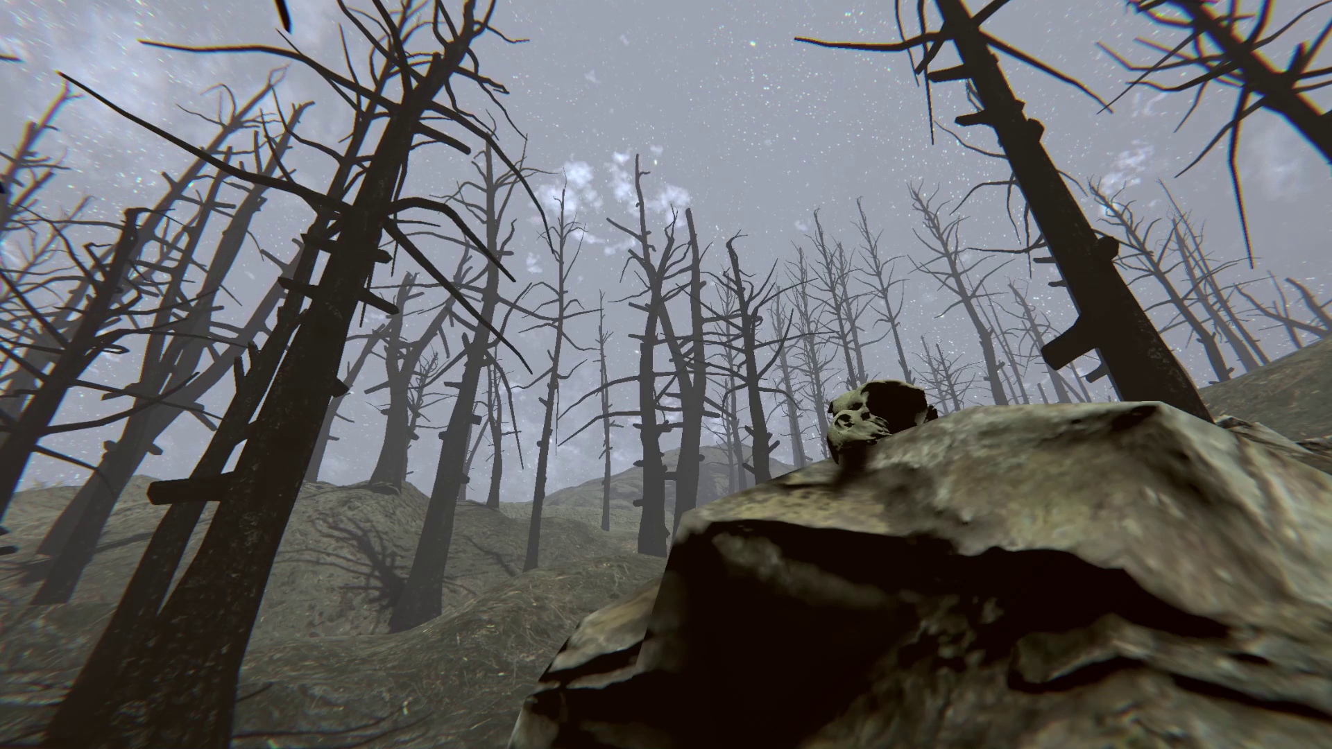 Forest3D - Screenshots - 00014