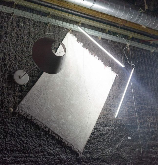 Humanismus und Häuslichkeit, 2019 Installation, Art Attech, Flex Wien