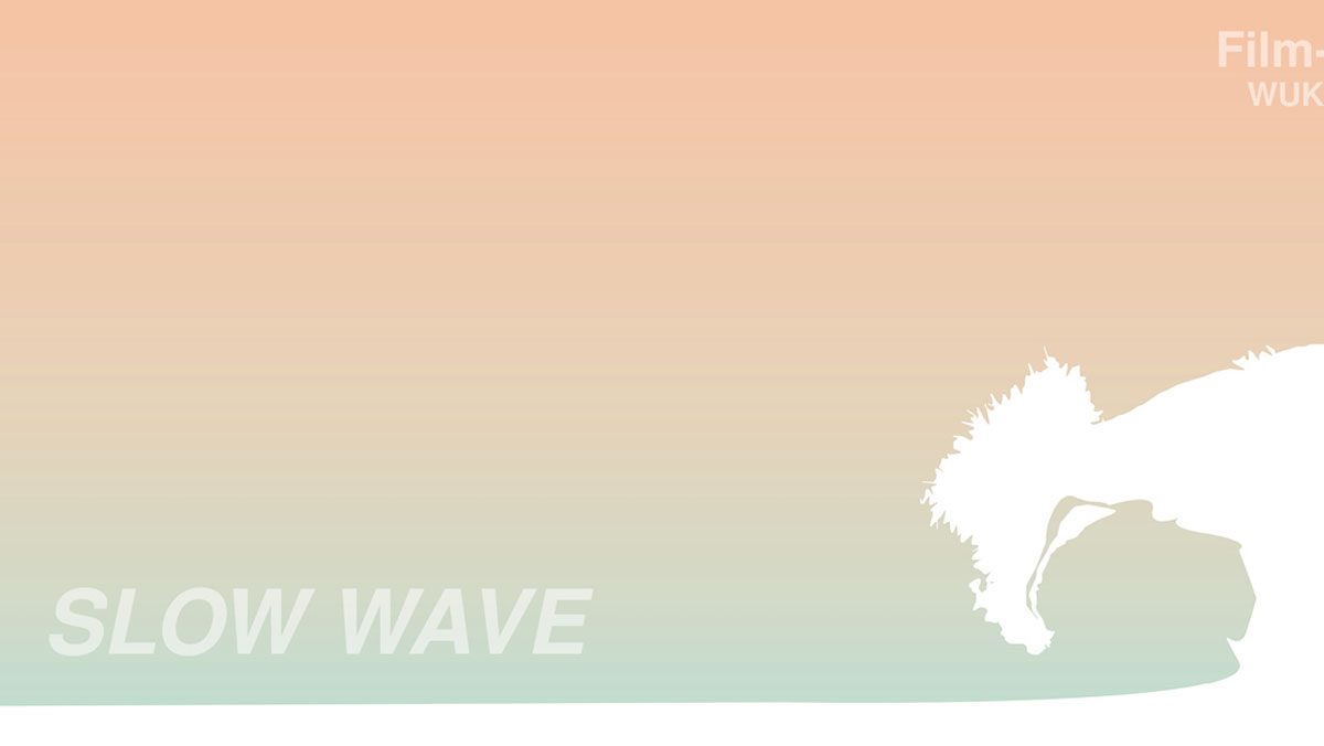Slow Wave II bridging time windows