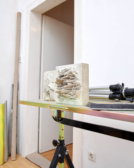 Artist in the Studio. Vienna 2025. Photo: Daniel Lichterwaldt