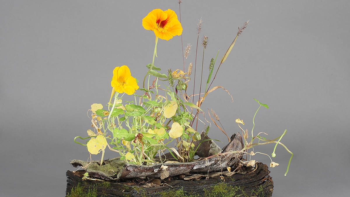 Sophie Tiller im Interview Der Parasit, © Sophie Tiller