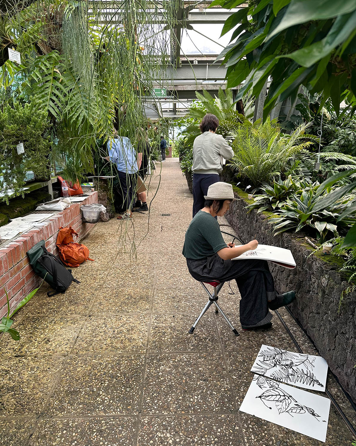 Group of students drawing in the Botanical Garden.