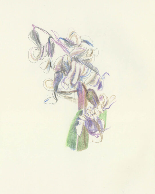 Kerstin Hille, Spring 2025, colored pencil and graphite, 19 x 25 cm