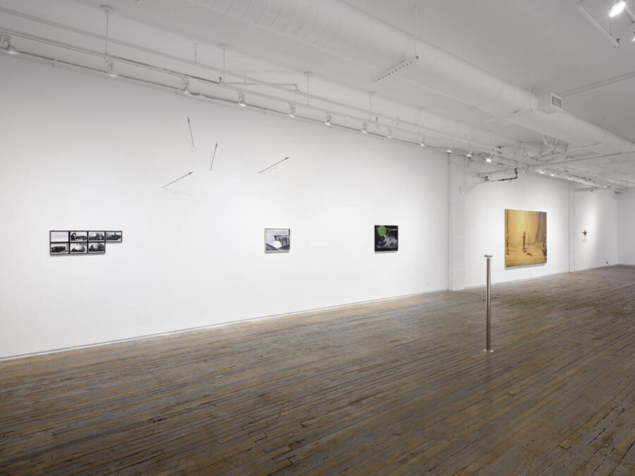 exhibition view: Swallow the Moon; curated by Reilly Davidson, Amanita, New York. Courtesy of Amanita