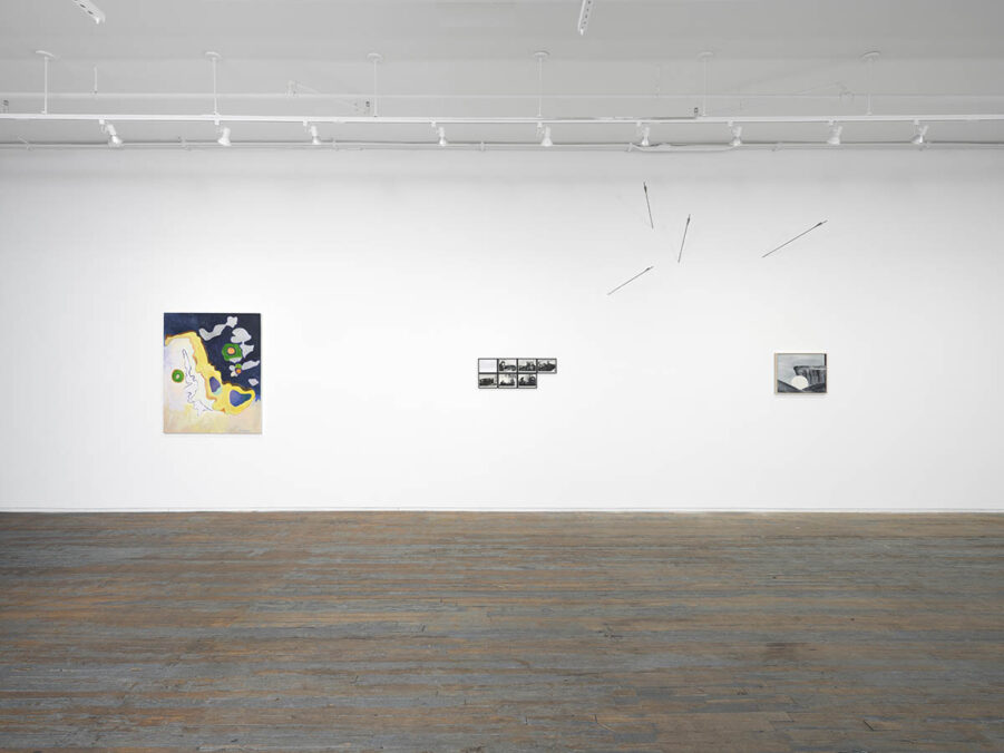 exhibition view: Swallow the Moon; curated by Reilly Davidson, Amanita, New York. Courtesy of Amanita