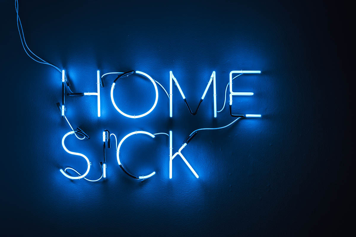 Yael Bartana HOMESICK, 2025 Neon installation, 180 × 96 cm, Ed. 2/3, Courtesy the artist; Annet Gelink Gallery, Amsterdam; Sommer Contemporary Art, Tel Aviv; Galleria Raffaella Cortese, Milan; Petzel Gallery, New York; Capitain Petzel, Berlin; Cecilia Hillström Gallery, Stockholm; and Galerie Peter Kilchmann, Zurich © Yael Bartana