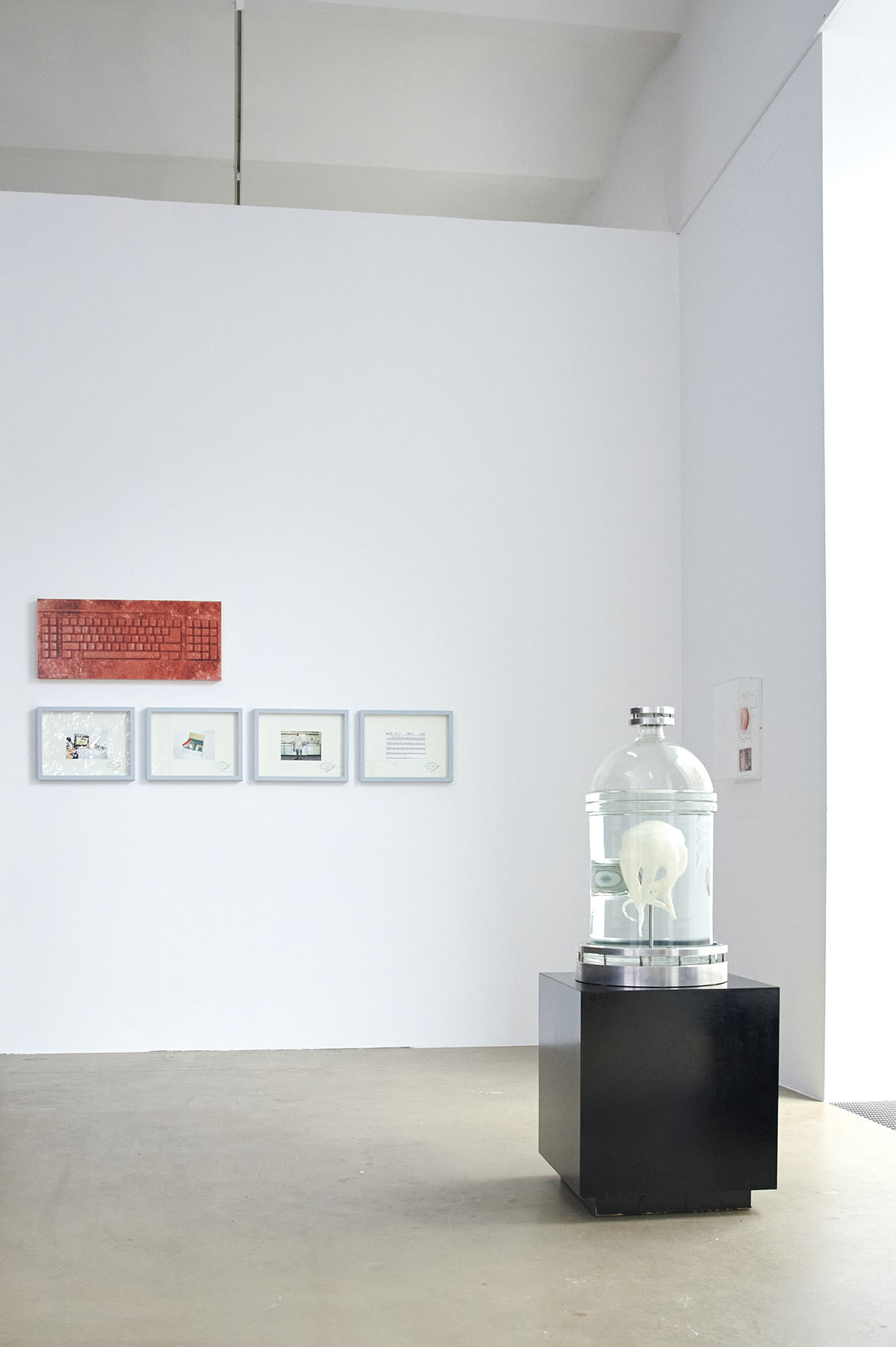 Photo: Daniel Lichterwaldt