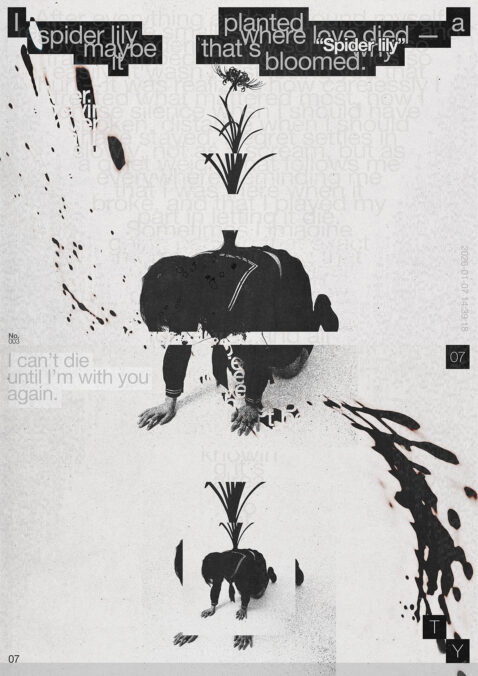 Ty Kawabe, Poster: Spider lily