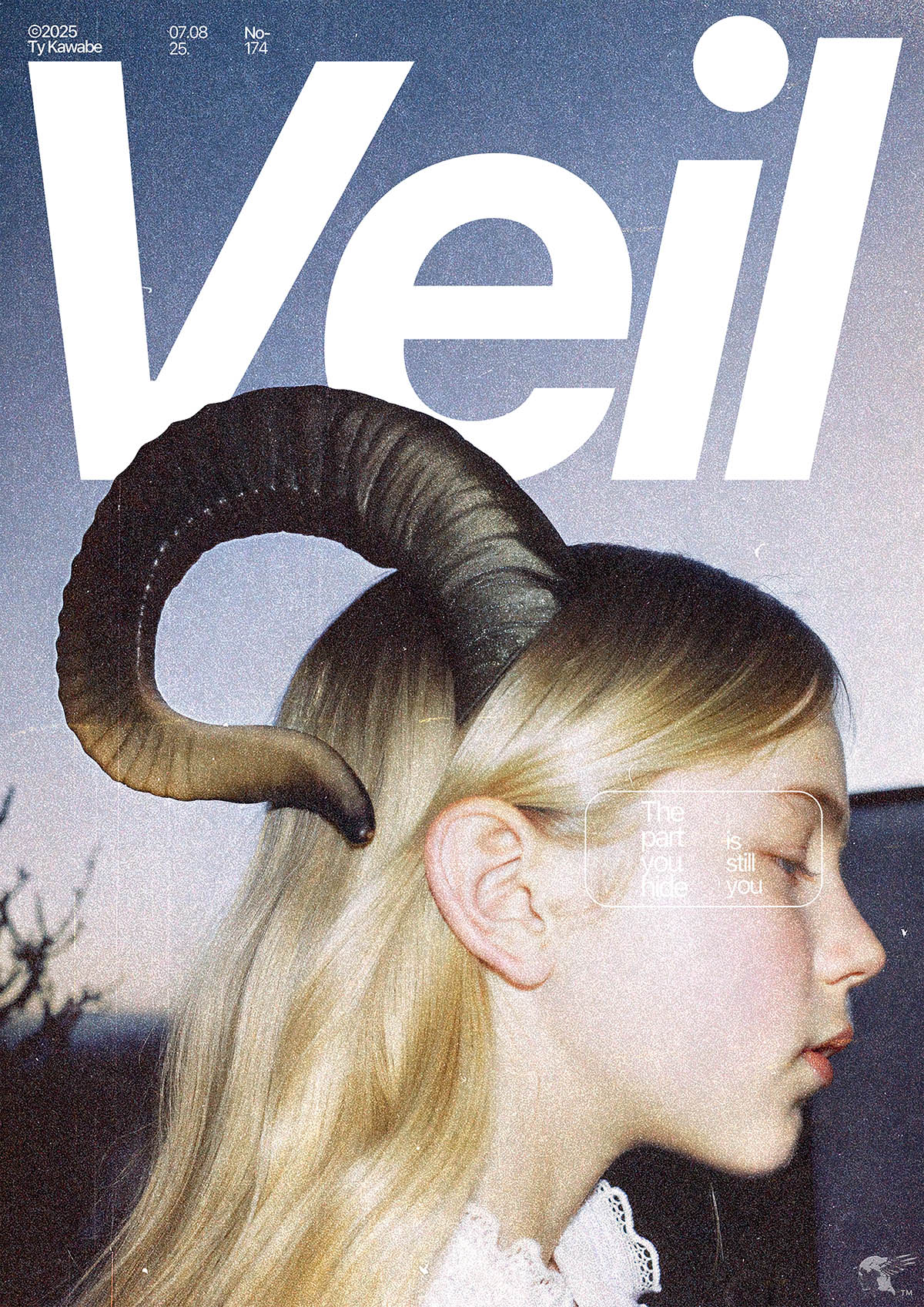 Ty Kawabe, Poster: Veil