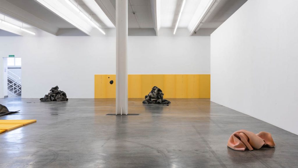 ausstellungsansicht. Vera Kox ... into deliquescence