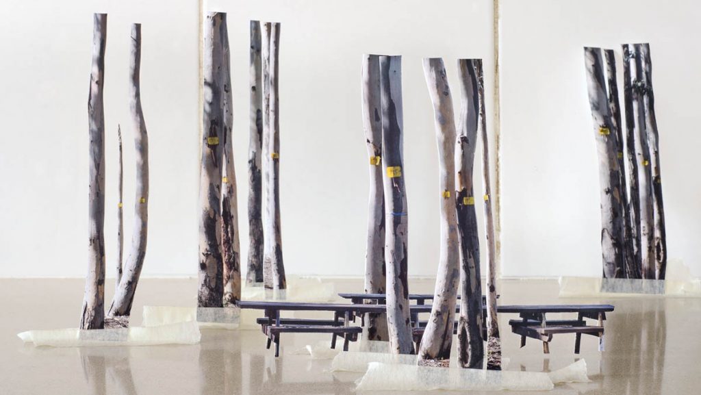 Vera Vladimirsky The Last Apartment