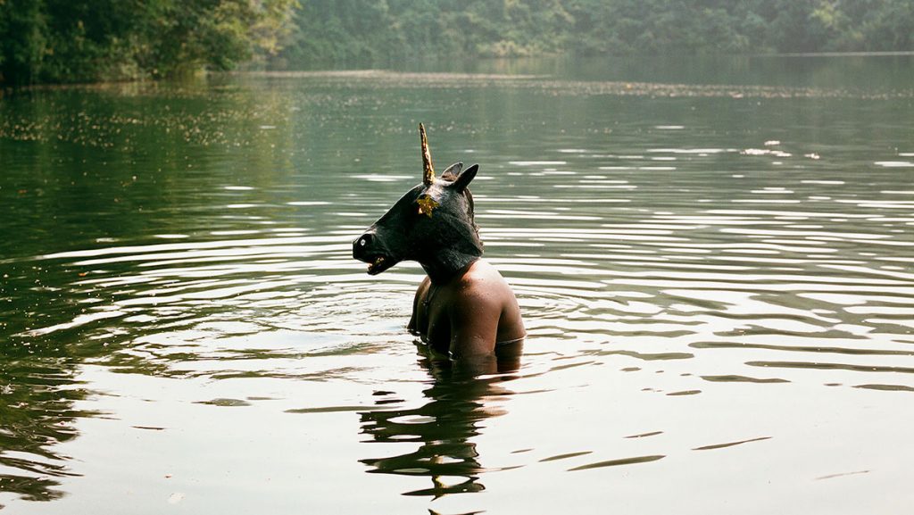 Verena Prenner, Okapi, 2020, C-Print, gerahmt, 100 x 100 cm