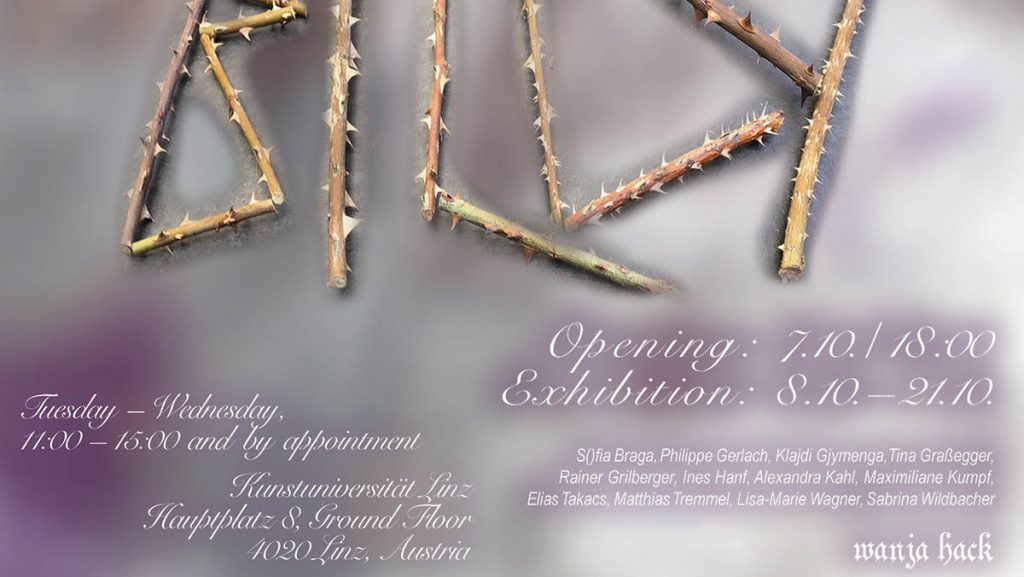 Kunstraum Wanja Hack in Linz