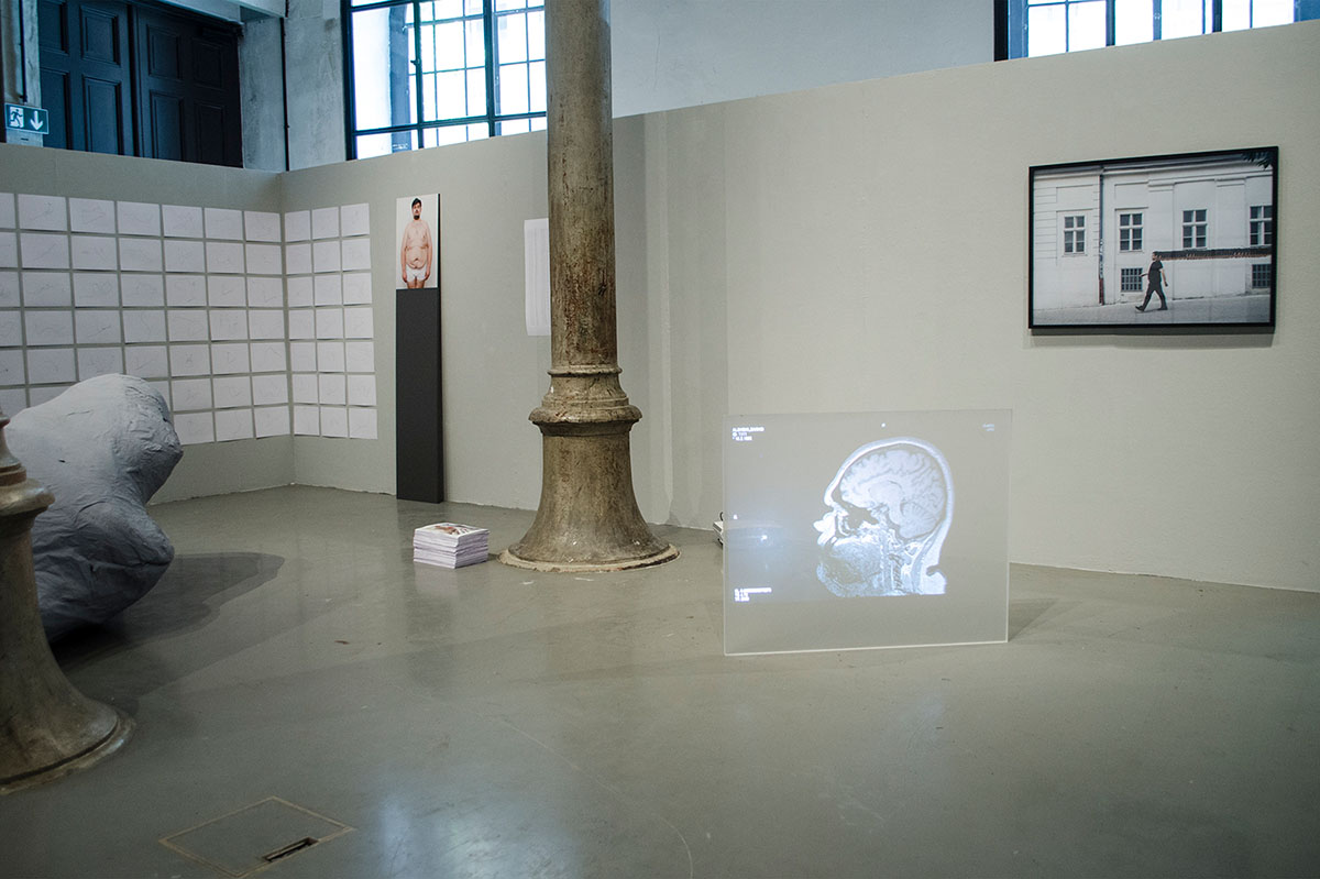 Žarko Aleksić, Hyperplastic, installation shot, 2019