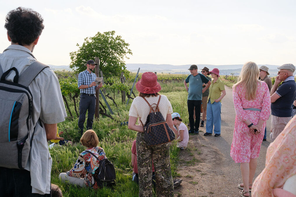 Klang:Wanderung mit SOIL | im Rahmen des WEIN/4-Festivals 2026. Foto: Sebastian Schmid